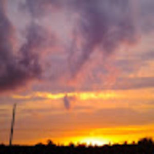 Meet your Posher, Bee